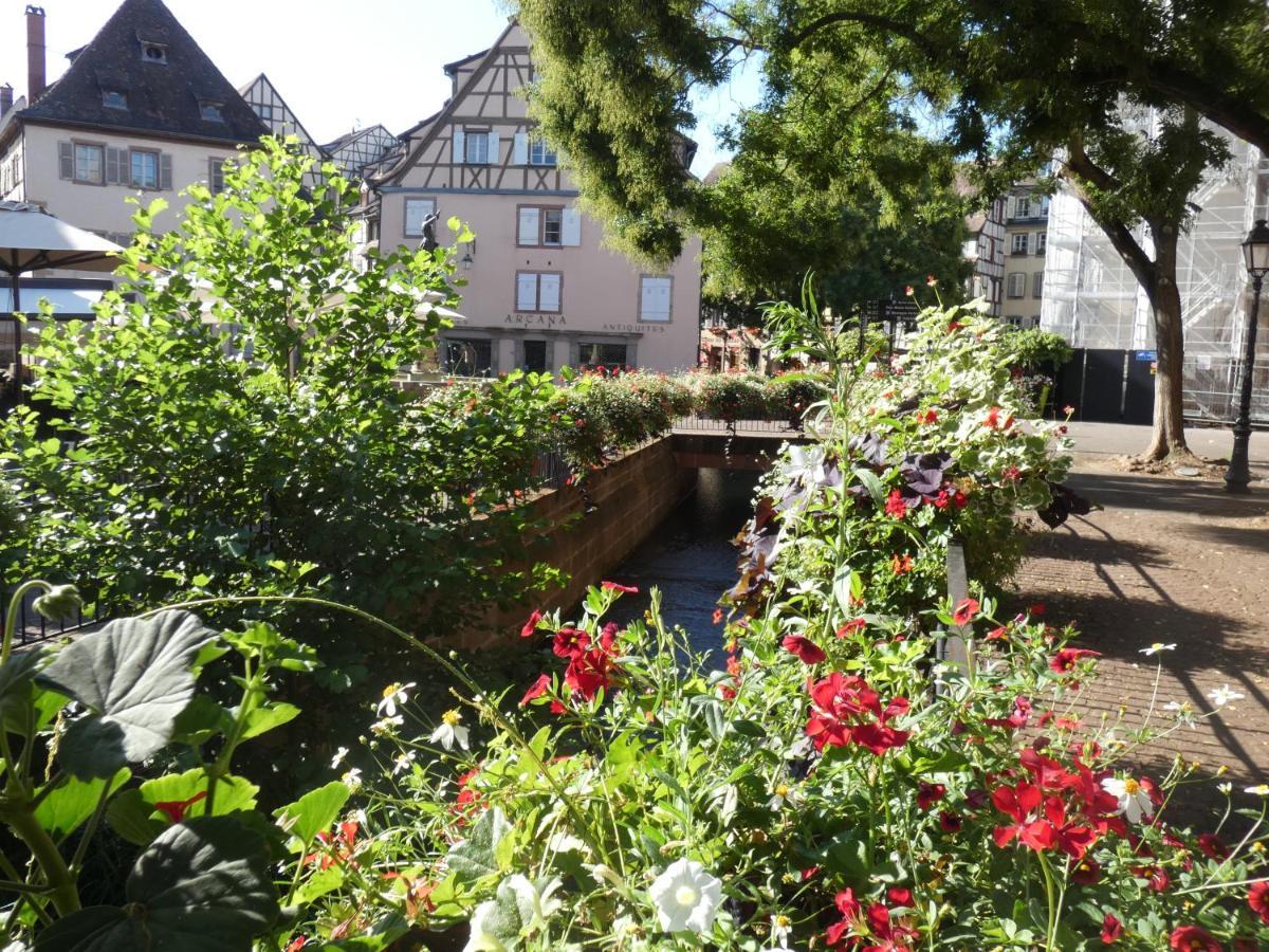 Gite Les Combles Du Bonheur Colmar Exteriér fotografie