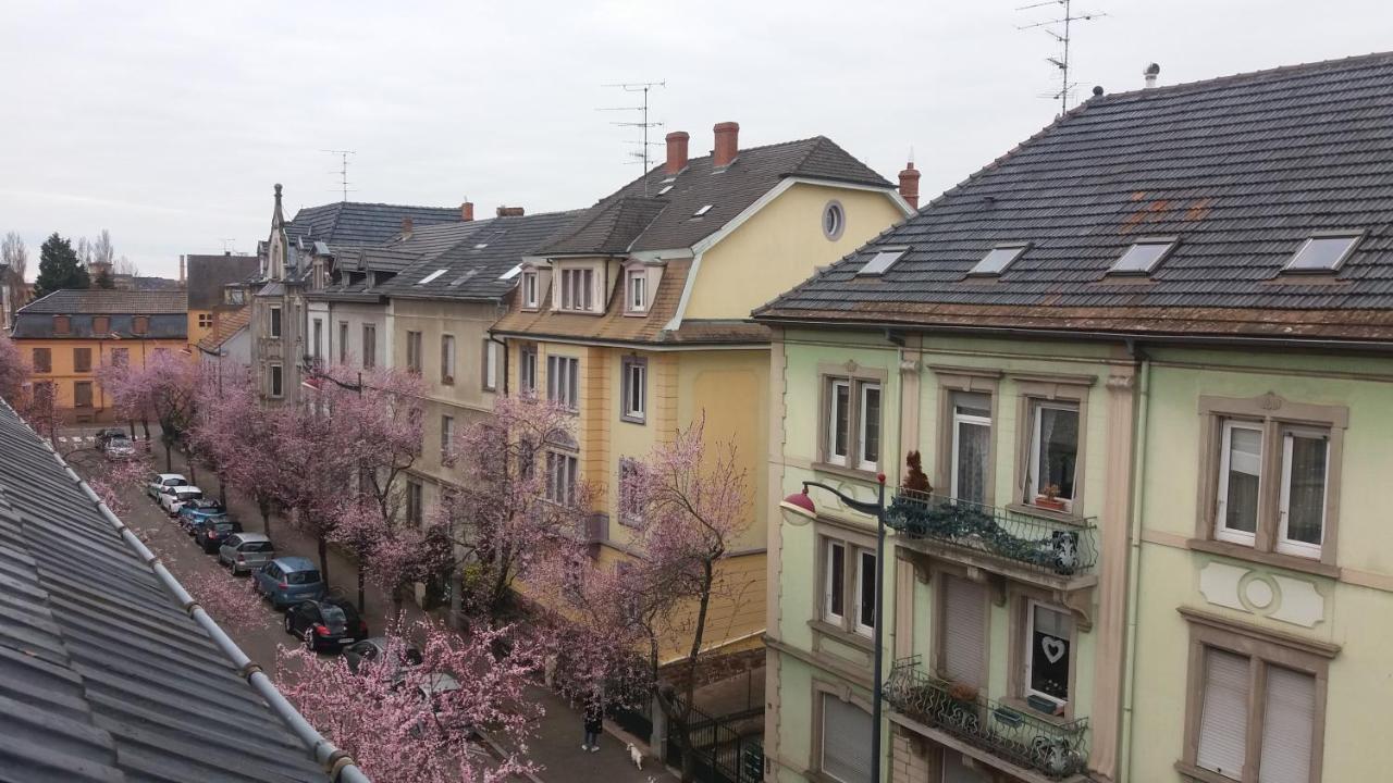 Gite Les Combles Du Bonheur Colmar Exteriér fotografie